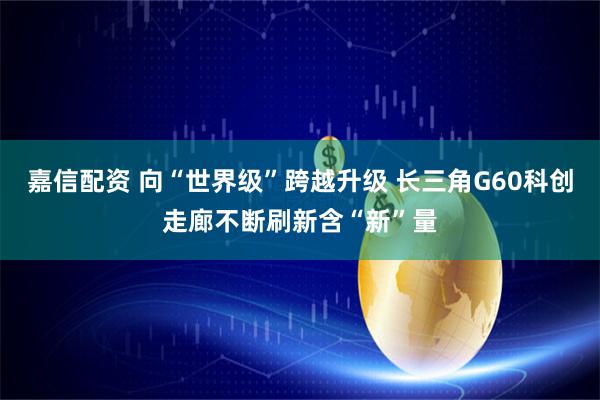 嘉信配资 向“世界级”跨越升级 长三角G60科创走廊不断刷新含“新”量