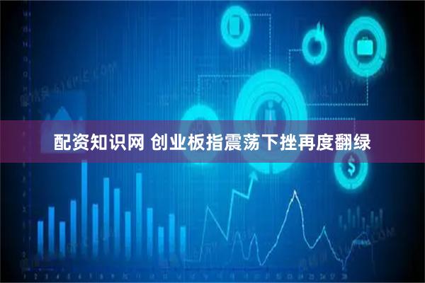 配资知识网 创业板指震荡下挫再度翻绿