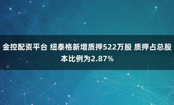 金控配资平台 纽泰格新增质押522万股 质押占总股本比例为2.87%