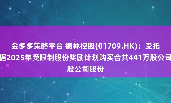 金多多策略平台 德林控股(01709.HK):受托人根据2025年受限制股份奖励计划购买合共441万股公司股份